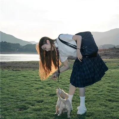 生命骑士